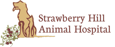 Strawberry Hill Animal Hospital